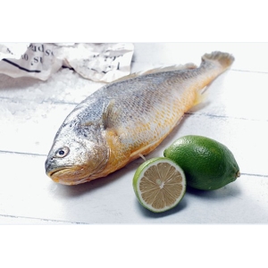 頂級野生黃魚400~500g/尾