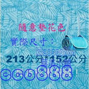 華美小舖-[主動開發票購物有保障]  LIGHTSPEED 隨意墊(圓筒書包型) 213*152公分 免運費 壹件價