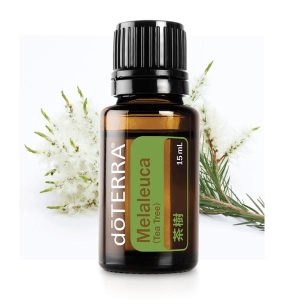 【doTERRA多特瑞】茶樹精油(  Melalerca) 15ml
