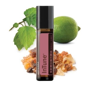 【doTERRA多特瑞】全新嚮往複方精油(滾珠) (InTune®) 10ml