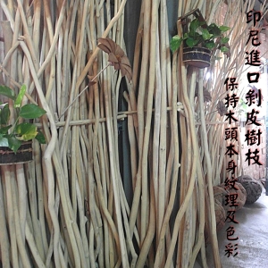 狂銷 現貨 印尼進口剝皮樹枝 天然樹枝 鸚鵡樹枝棲木 服飾店衣架 布幔擺設DIY材料 整枝過長無法運送只能自取或對切寄出