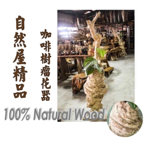 【自然屋精品】咖啡樹瘤花器 咖啡樹 樹瘤 花器 花盆 盆栽 藝術 藝品 木製 自然 天然 實木