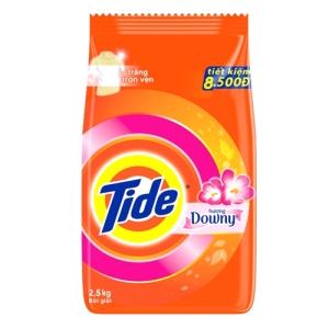 Tide洗衣粉(添加Downy柔軟精)650g