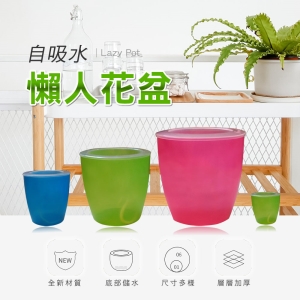 【Bosswell 博士韋爾】自動吸水 彩色 懶人盆栽 (四入一組)