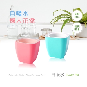 【Bosswell 博士韋爾】自動吸水 方形實色 懶人盆栽 (三入一組)