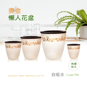 【Bosswell 博士韋爾】自動吸水 燙金花邊 懶人盆栽 (四入一組)