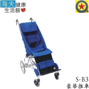輪昇 特製推車 (未滅菌)【海夫健康生活館】輪昇 仰躺 傾倒 可調式 豪華 推車(S-B3)