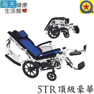 輪昇 特製推車 (未滅菌)【海夫健康生活館】輪昇 仰躺 傾倒 頂級豪華 輪椅(5TR)