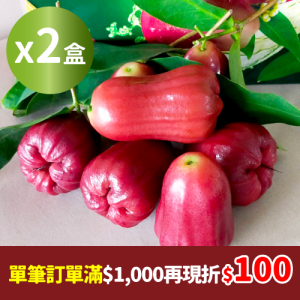 紫蜜蓮霧(5台斤)2盒組_農產嘉年華單筆訂單滿1000再現折100