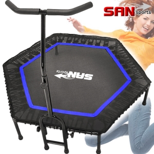 【SAN SPORTS】六角型扶手彈跳床 C144-C48 (牛角蹦蹦床跳跳床.織帶彈簧床跳高床.靜音有氧彈跳樂彈跳器.平衡感成人兒童遊戲床.運動健身器材.推薦哪裡買PTT)