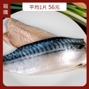 優選挪威薄鹽鯖魚片(箱購23片組)