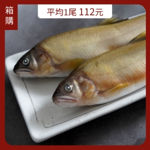 台灣特大爆卵母香魚(箱購10盒入)