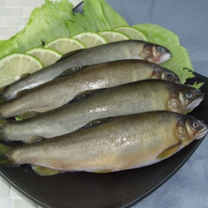 台灣特大肥美公香魚(6尾入)