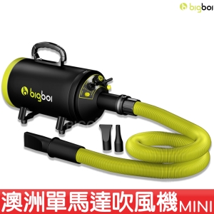 【原裝進口】澳洲 bigboi MINI 寵物單馬達吹風機 吹水機 寵物美容 毛髮風乾 汽機車用 汽車美容 居家清潔