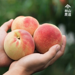 【林山農選】【預購】(8粒禮盒裝)梨山精品A級水蜜桃-中粒裝【看見太陽】