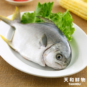 天和黃金鯧250g