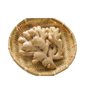 樂山咖啡農場-無毒竹薑