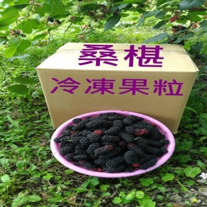 冷凍桑椹6公斤(6小包)