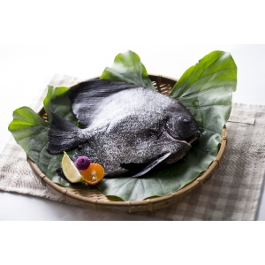 富貴魚S/500g-600g
