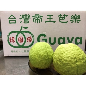帝王芭樂12KG