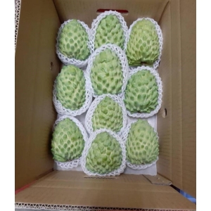 【東河鄉農會】鳳梨釋迦10斤裝