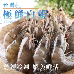 台灣極鮮白蝦4盒