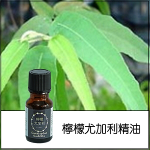 檸檬尤加利純精油