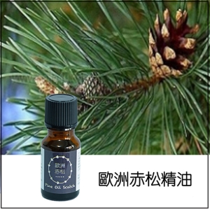 歐洲赤松純精油