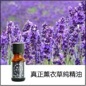 真正薰衣草純精油