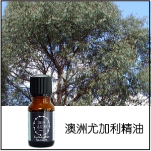 澳洲尤加利純精油