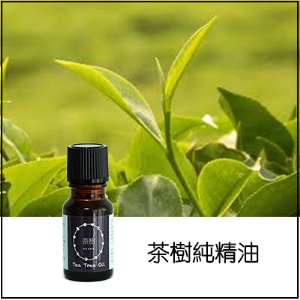 茶樹純精油