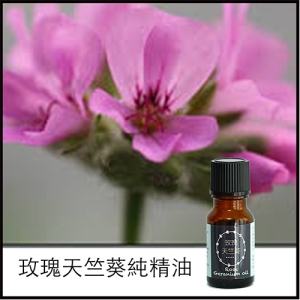 玫瑰天竺葵純精油