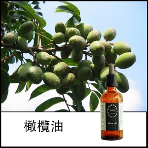 橄欖油