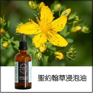 聖約翰草油浸泡油