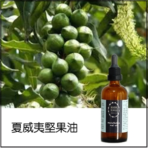 夏威夷堅果油