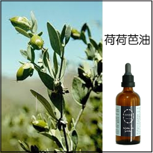 荷荷芭油