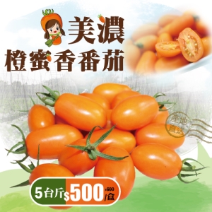 110_美濃橙蜜香番茄