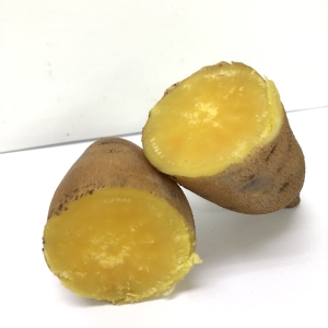 履歷台農57號黃地瓜禮盒