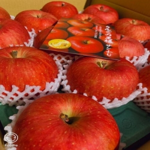 預購【季節限定】日本空運青森蜜富士蘋果(蜜蘋果)8顆約2.9kg/箱【福虎迎春郵好年】