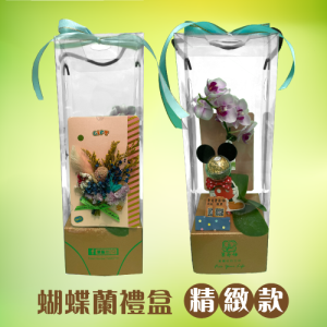 蝴蝶蘭禮盒-精緻款