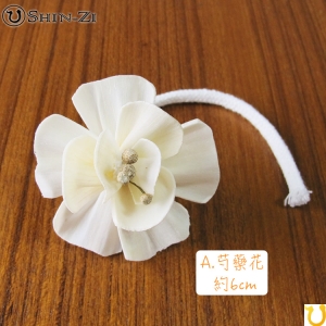 買10送1 擴香花 棉繩擴香花 通草花 索拉花