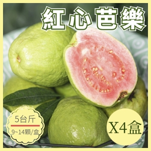 『蓮霧王』紅心芭樂禮盒5台斤(9-14粒)/箱X4箱