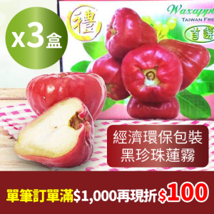 經濟環保包裝黑珍珠 精品特黑中 25~28粒裝(3.5台斤) X3盒_農產嘉年華單筆訂單滿1000再現折100