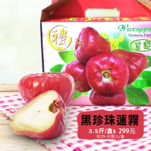 《蓮霧王》經濟環保包裝黑珍珠 精品特黑小29-32粒裝 實重3.5台斤±5%，當天現採 嘗鮮價299元/盒免運(僅限本島)