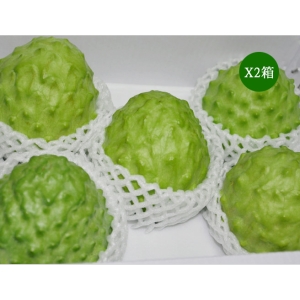 《蓮霧王》台東之美~鳳梨釋迦 精品特大4~5粒裝【5台斤士5%】X2箱