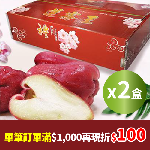 砲彈蓮霧精美禮盒包裝 13~18粒裝(4台斤)X2盒_農產嘉年華單筆訂單滿1000再現折100