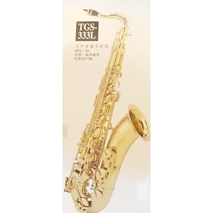 次中音薩克斯風 Chateau俠道 TENOR SAX ABS袋