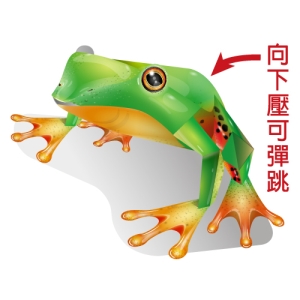 真會跳動物-台灣莫氏樹蛙