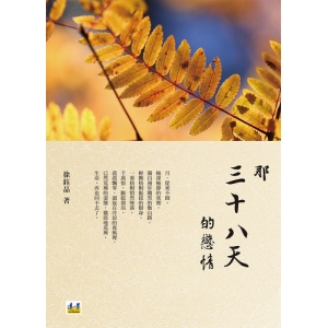 那三十八天的戀情