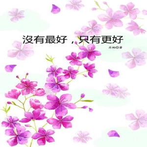沒有最好，只有更好